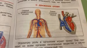Окружающий мир/3 кл/часть 1/Плешаков/Дыхание и кровообращение/12.12.21