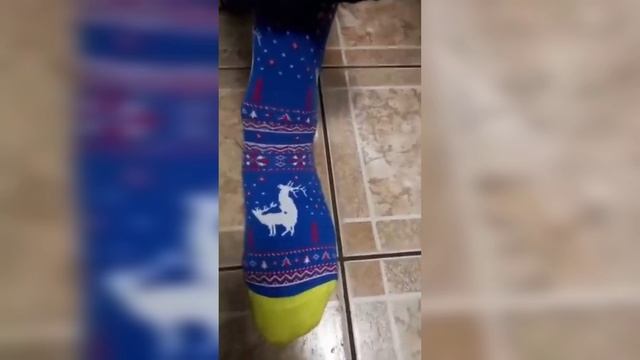 смешные забавные моменты #1