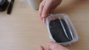 Сею семена земляники. Сорт "Женева" и "Сашенька"