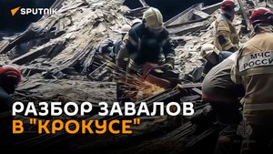 Тяжелая техника, роботы и кинологи: как разбирают завалы в "Крокусе"