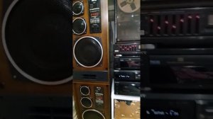 RADIOTEHNIKA S90D