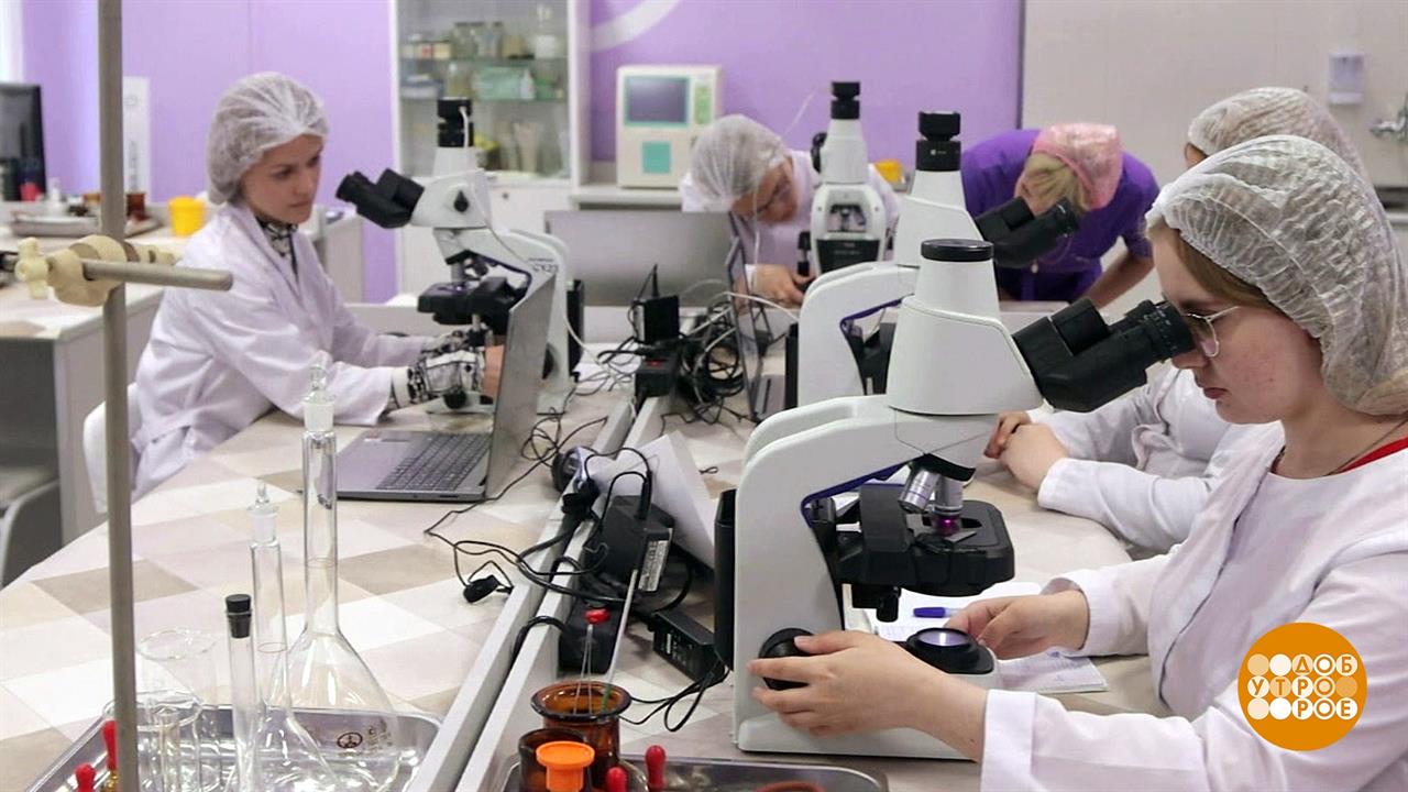 Школы, что нового? Доброе утро. Фрагмент выпуска от 01.09.2023