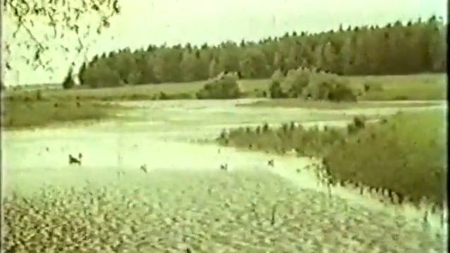 Приметы погоды