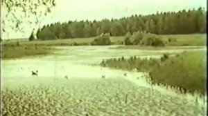 Приметы погоды