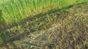 ПРЕСС-ПОДБОРЩИК ДЛЯ СЕНА В ДЕЛЕ