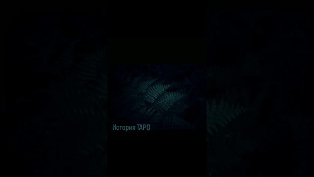 История ТАРО. 2 часть