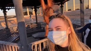 Очень грустный зоопарк... Умм-Аль-Кувейн, ОАЭ. Heartbreaking experience in Umm Al Quwain zoo