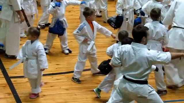 Каратэ киокушинкай. Аттестация на оранжевый пояс. смотреть онлайн