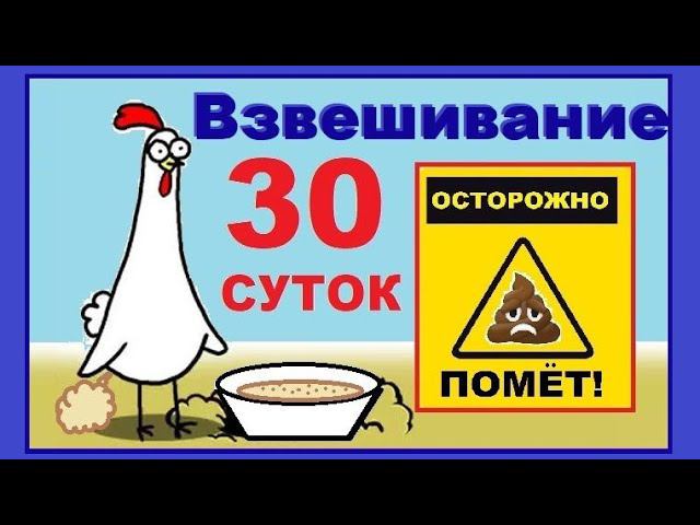 Бройлерам 30 дней на Маркорм ПК 6-1