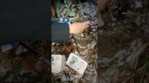 Закладка соли в лесу