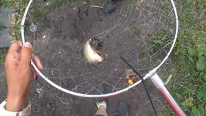 рЫБАЛКА В ТРУДОЛЮБОВКЕ