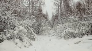 Лесной домик/ красавица зима )))