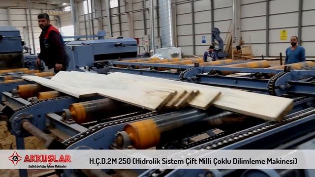 Akkuslar Makina HCD2M 250 Многопильный станок. смотреть онлайн