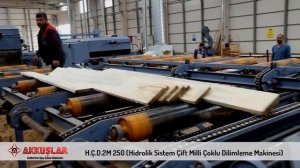 Akkuslar Makina HCD2M 250 Многопильный станок.