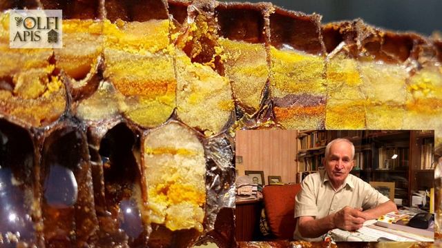 #Кашковский В. Г. Полезные свойства пыльцы и перги смотреть онлайн