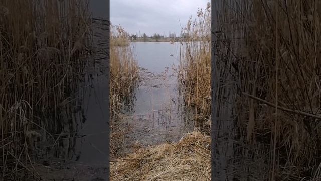 #Екабпилс #водохранилище #Раджу #Radžu #Латвия #ūdenskrātuve #Jēkabpils смотреть онлайн