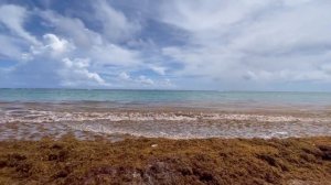 Riu Republica 5*, (обзор пляжей отелей Riu Palace Punta Cana, Palace Bavaro, Palace Macao, Bambu)