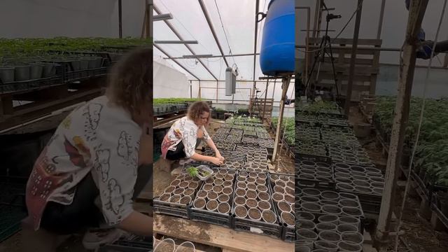 Один день Леры Петровчанки, которая живёт в станице Петровская 🥰 #жизньзагородом #огород