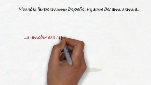 260 УК РФ Незаконная рубка лесных насаждений