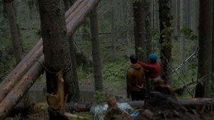 Строим ДОМ на ДЕРЕВЕ.