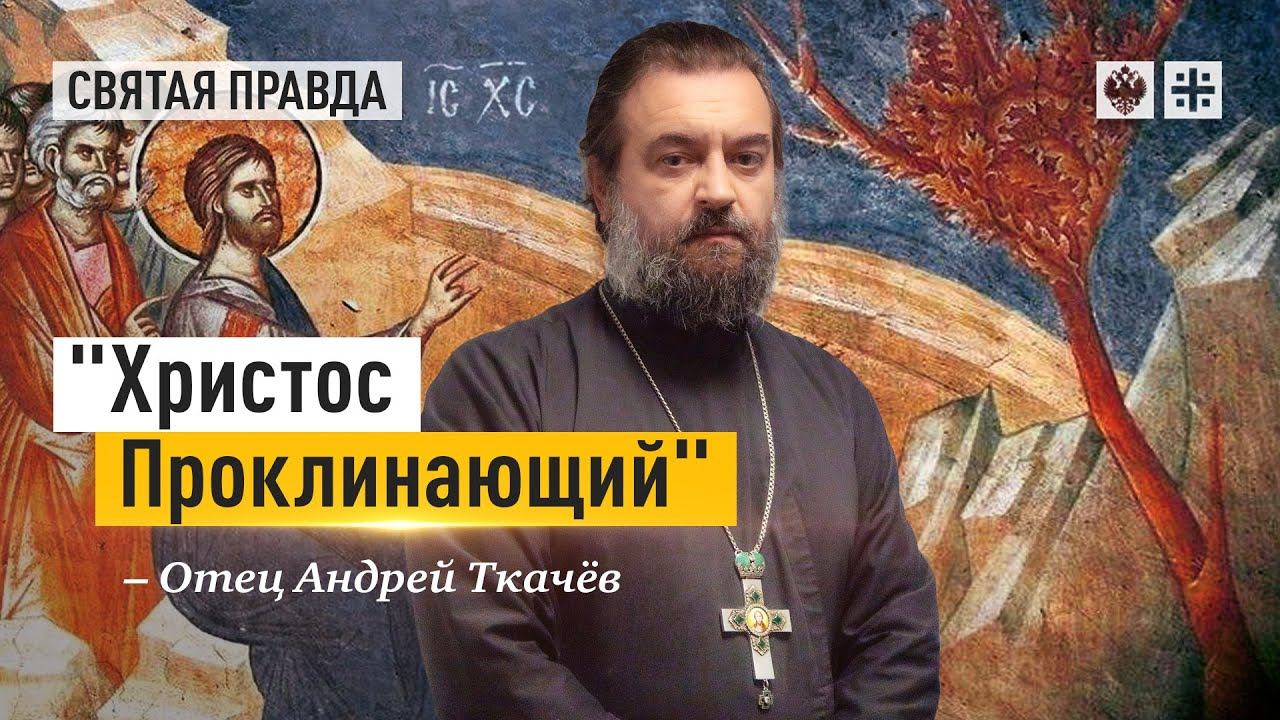 "Христос Проклинающий": Рождество Богомладенца не должно расслаблять христиан — отец Андрей Ткачёв