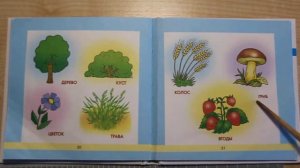 № 45. Дерево, куст, цветок, трава, гриб, ягода, колос. Научите меня говорить. Развивающая книга.
