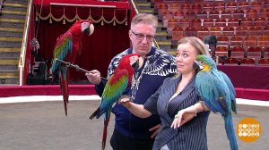 Цирковыми - рождаются! Доброе утро. Суббота. Фрагмент выпуска от 17.04.2021