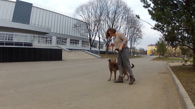 Трюк Змейка смотреть онлайн