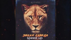 дикая львица (speed up)