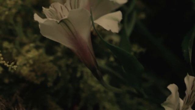 Осенний букет цветочной мастерской Натальи Власовой смотреть онлайн