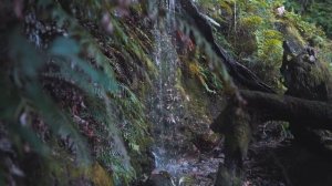 Музыка 2022,Музыка для души,Музыка для глубокого сна,без рекламы.