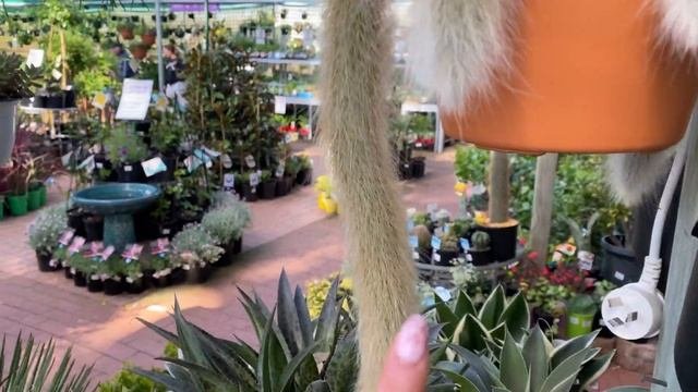HOUSEPLANT SHOPPING | ALTRA NURSERY & FLOWER POWER PLANT TOUR
