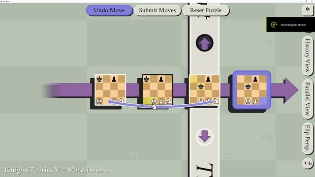 5D Chess with Multiverse Time Travel Puzzle Solutions: Knight Tactics 5 смотреть онлайн