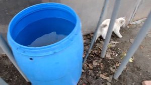 Где взять Дистиллированною воду? Из кондиционера.
