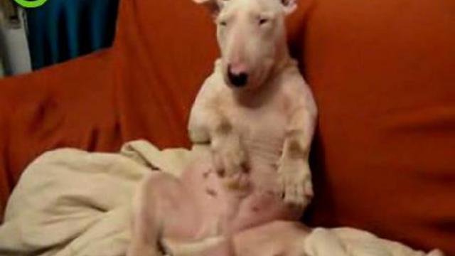 Кайф! смотреть онлайн