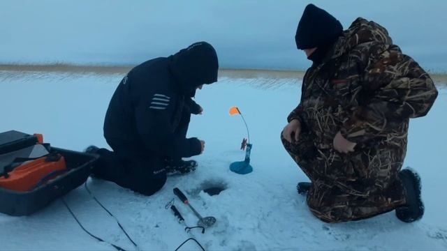Ладога ловля щуки!!! смотреть онлайн