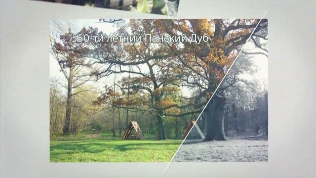 Интересные факты и история ветряных и водяных мельниц