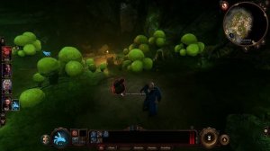 Baldur's Gate 3 Спасение грибника и получение доброгриба