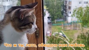 Что ж ты, лето Юра Шатунов