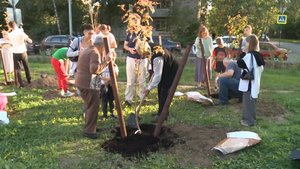 В Юбилейном парке посадили деревья