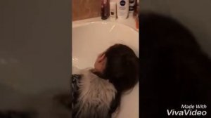 Как отомстить сестре?