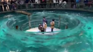 Аквариум Kinosaki Marine World