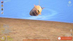 Русская рыбалка 4. Трофеи за 4 недели и сход трофейной белуги сокомандника.