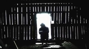 Копюшон НоуМо Синегорье