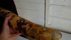 лагенария поленовидная