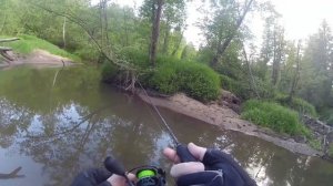 Июнь 2021.  Крупный хариус лесной микроречки