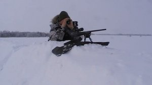 CZ 527 M1 , 223 rem . Стрельба на 190 м самым дешёвым патроном .