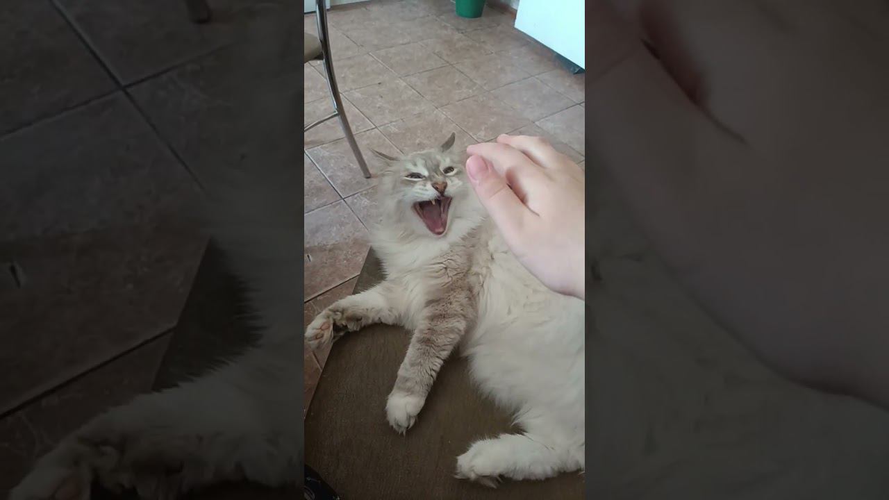 10 апреля 2024 г. смотреть онлайн