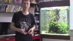 #Аквакубик. Обрастания на анубиасах. Как избавиться?