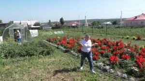 Сибирская дача. Сибирские просторы.